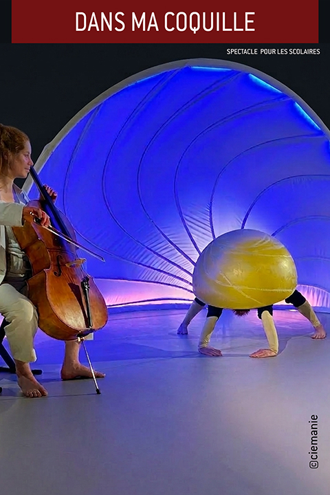 spectacle-skeneteau-dansmacoquille