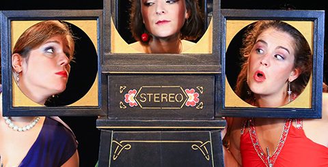 spectacle-skeneteau-anicom-3moustiquaires